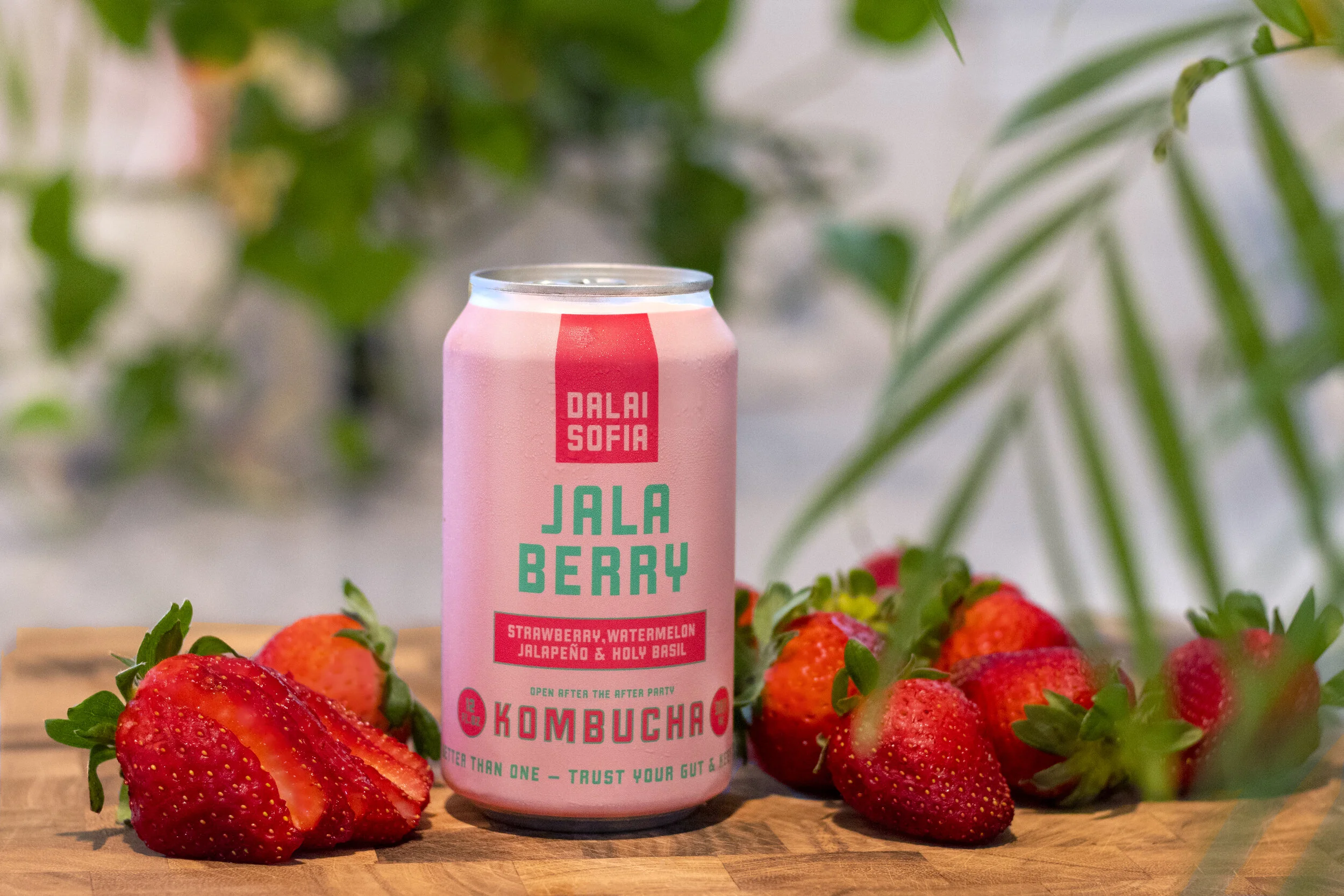 Jala Berry — Dalai Sofia